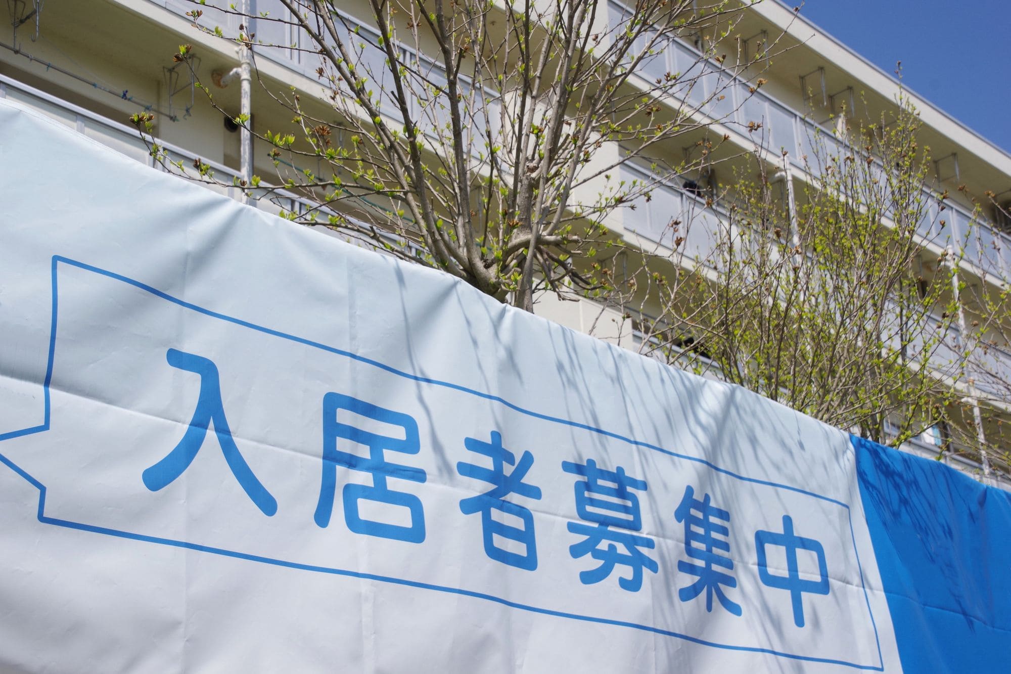 入居者募集中の看板